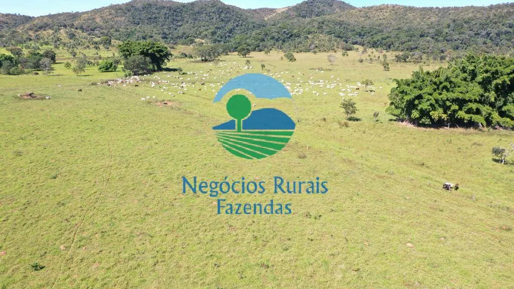Fazenda à venda de 784 ha em Campinaçu, GO, Brasil