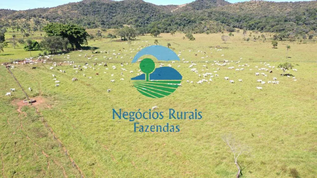 Fazenda à venda de 784 ha em Campinaçu, GO, Brasil