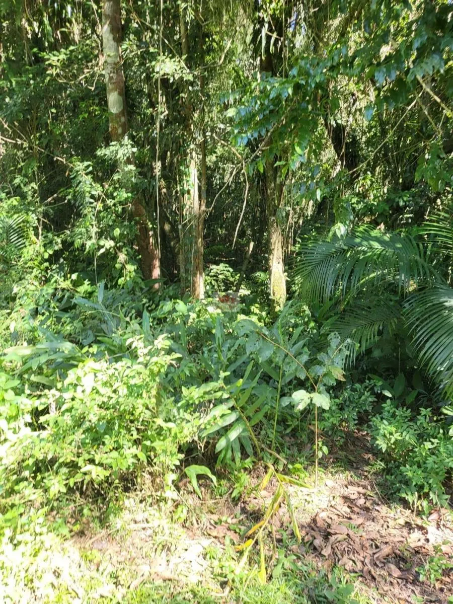 Chácara à venda de 2.500 m² em Juquitiba, SP, Brasil