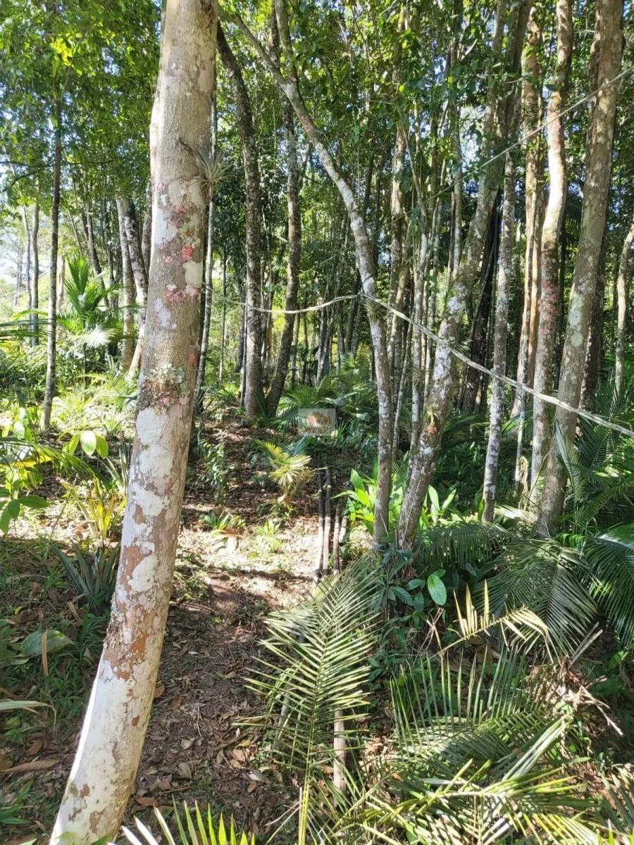 Chácara à venda de 2.500 m² em Juquitiba, SP, Brasil