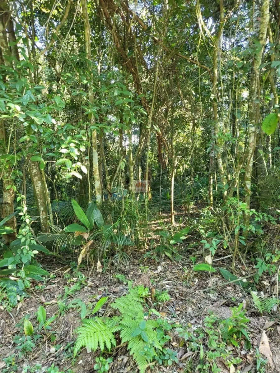 Chácara à venda de 2.500 m² em Juquitiba, SP, Brasil