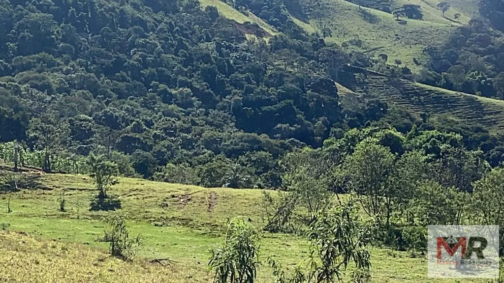 Plot for sale of 126 acres in Estiva, MG, Brazil