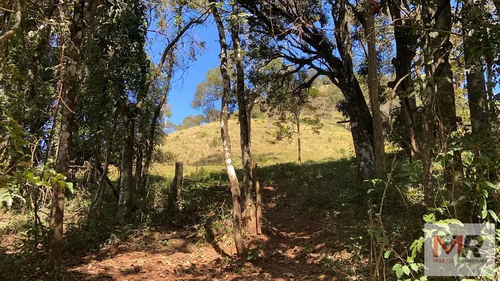 Plot for sale of 126 acres in Estiva, MG, Brazil