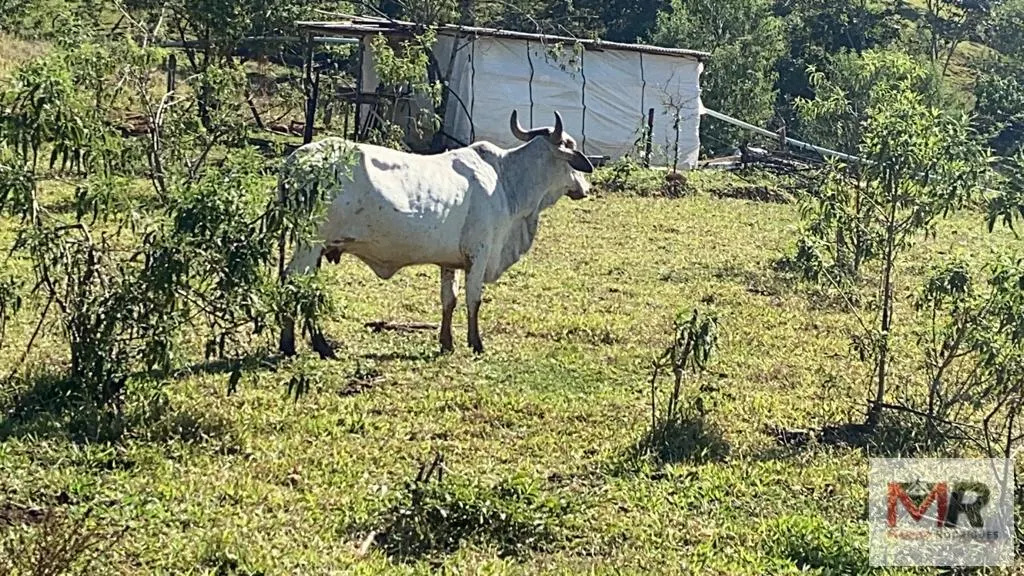 Plot for sale of 126 acres in Estiva, MG, Brazil