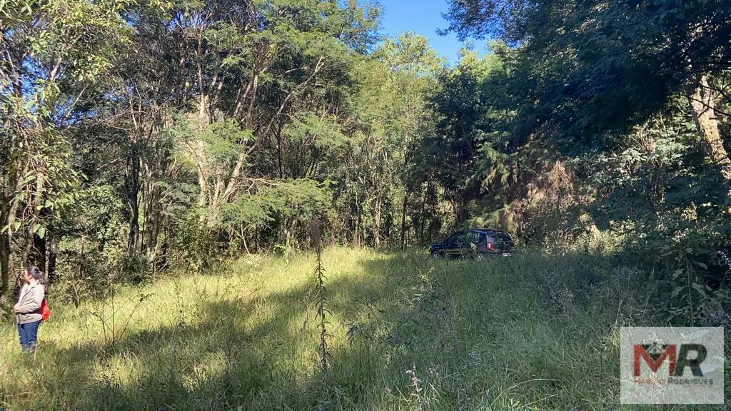 Plot for sale of 126 acres in Estiva, MG, Brazil