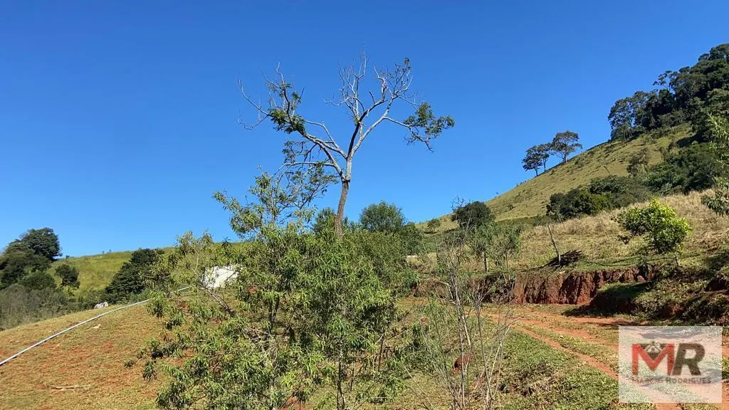 Plot for sale of 126 acres in Estiva, MG, Brazil