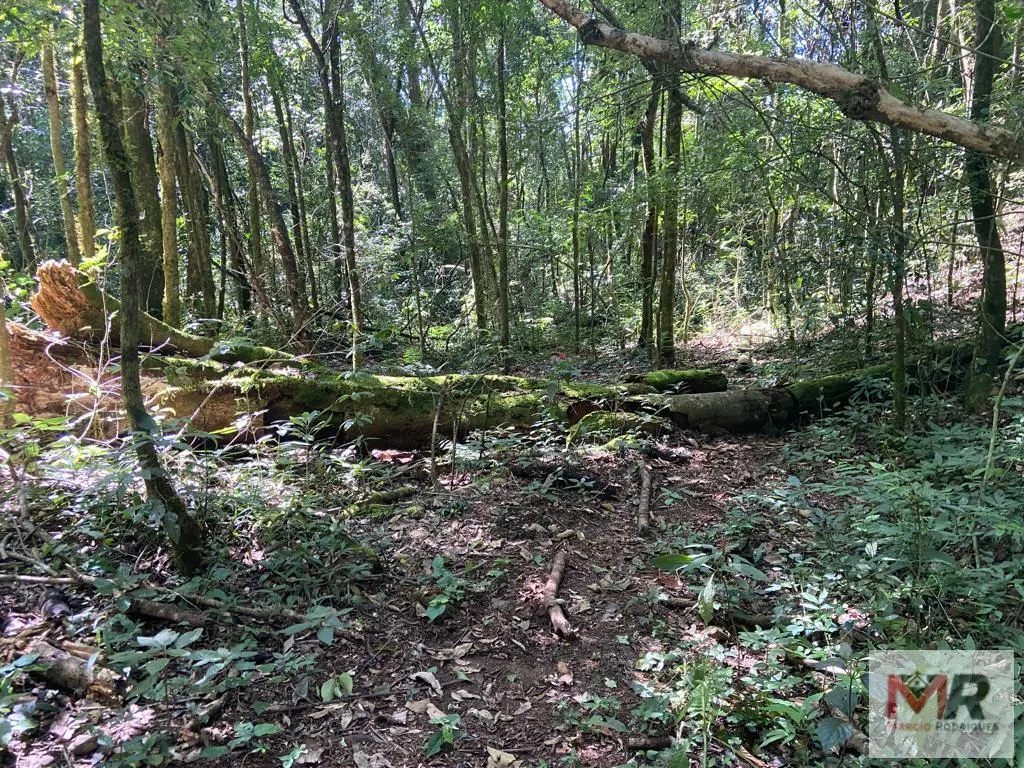 Plot for sale of 126 acres in Estiva, MG, Brazil