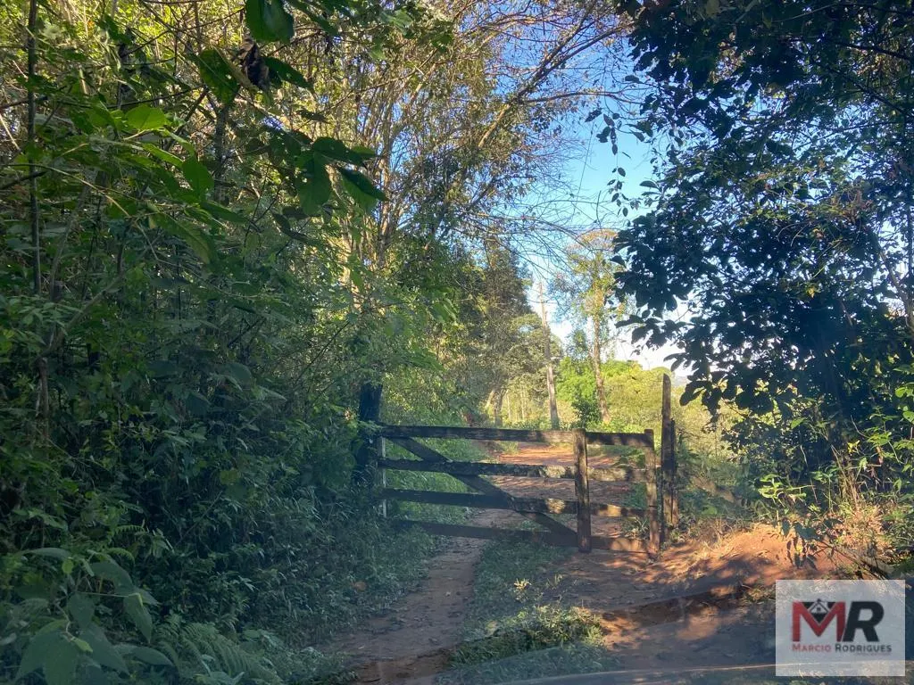 Plot for sale of 126 acres in Estiva, MG, Brazil