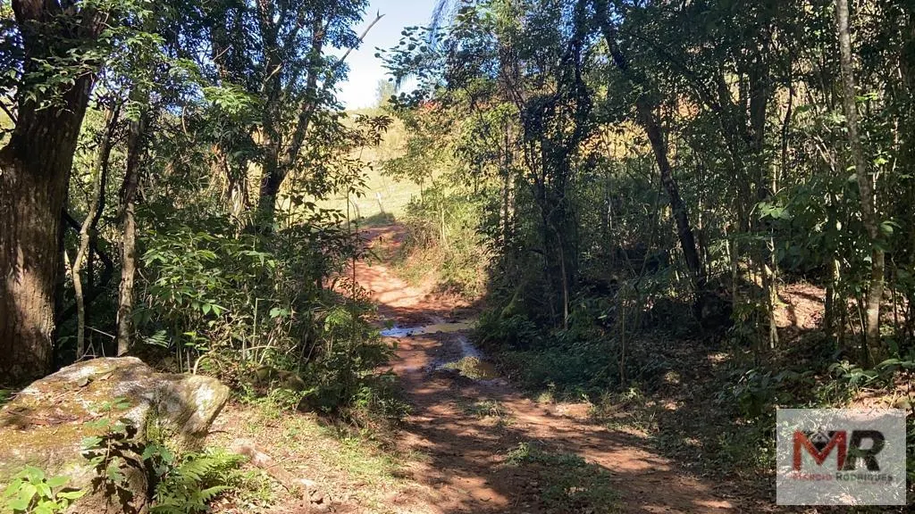 Plot for sale of 126 acres in Estiva, MG, Brazil