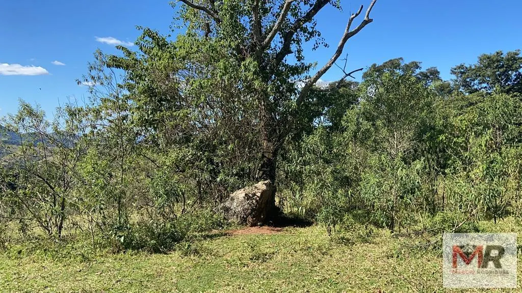 Plot for sale of 126 acres in Estiva, MG, Brazil
