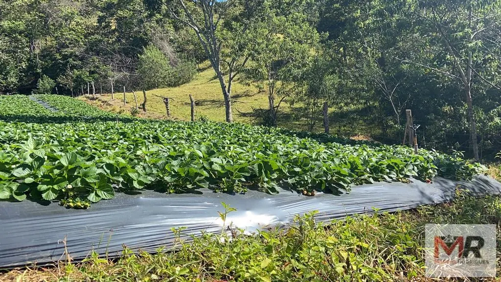 Plot for sale of 126 acres in Estiva, MG, Brazil