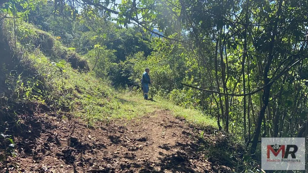Plot for sale of 126 acres in Estiva, MG, Brazil
