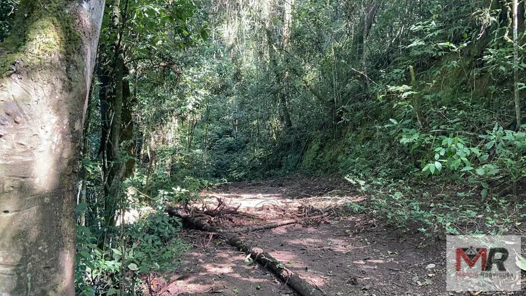 Plot for sale of 126 acres in Estiva, MG, Brazil