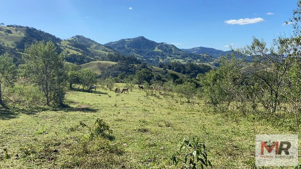 Plot for sale of 126 acres in Estiva, MG, Brazil