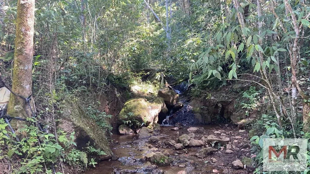 Plot for sale of 126 acres in Estiva, MG, Brazil
