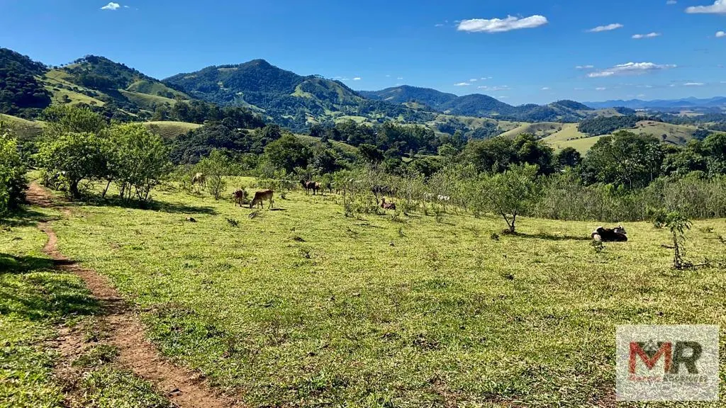 Plot for sale of 126 acres in Estiva, MG, Brazil
