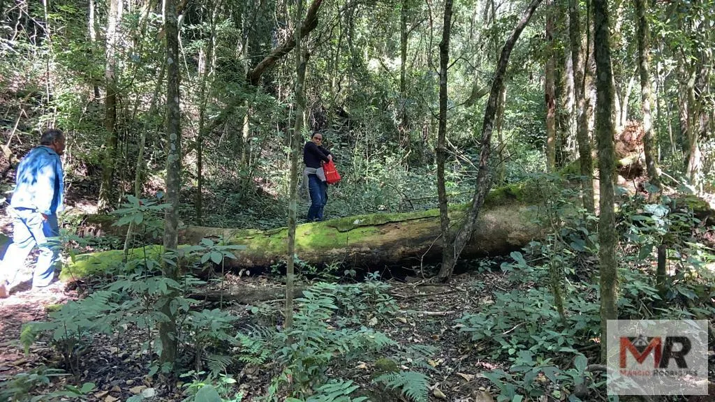 Plot for sale of 126 acres in Estiva, MG, Brazil