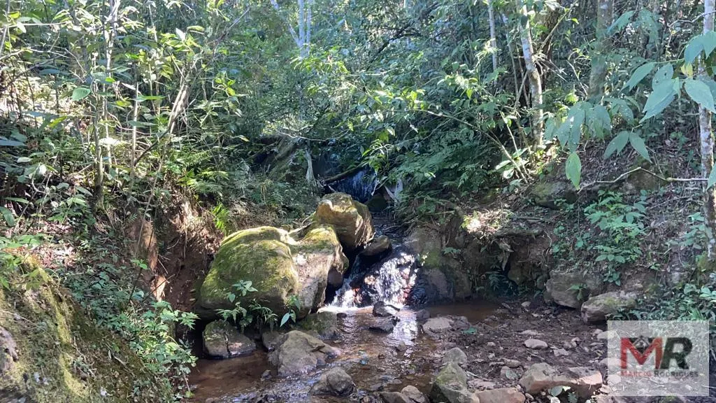 Plot for sale of 126 acres in Estiva, MG, Brazil