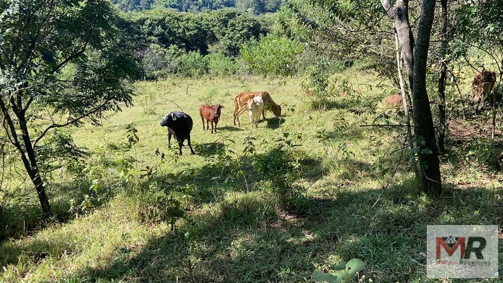Plot for sale of 126 acres in Estiva, MG, Brazil