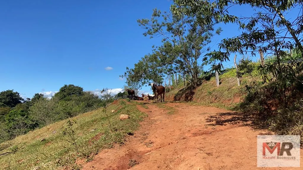 Plot for sale of 126 acres in Estiva, MG, Brazil
