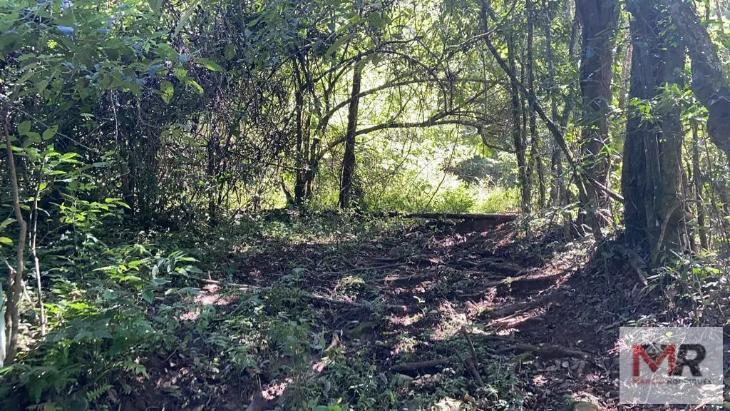Plot for sale of 126 acres in Estiva, MG, Brazil