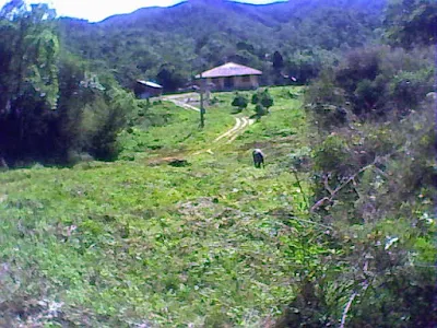 Fazenda à venda de 445 ha em Arapeí, SP, Brasil