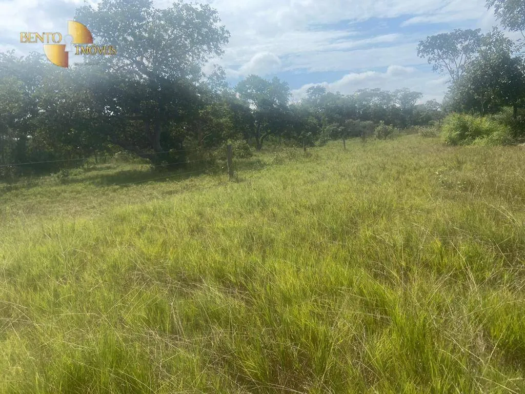 Fazenda à venda de 13.000 ha em Cuiabá, MT, Brasil
