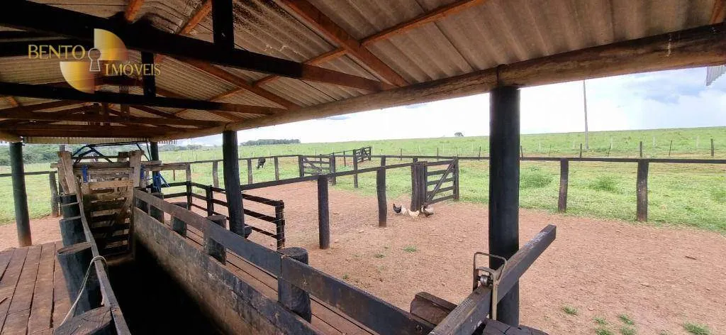 Fazenda à venda de 240 ha em Dom Aquino, MT, Brasil