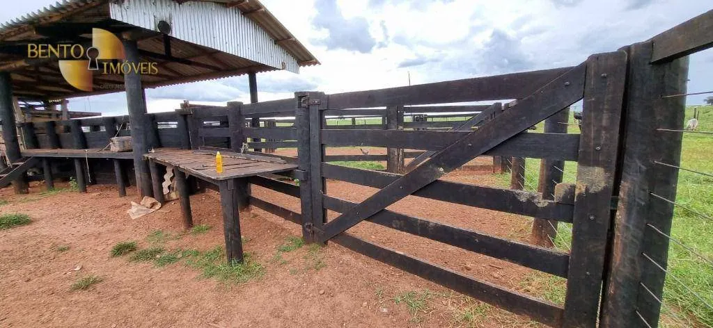 Fazenda à venda de 240 ha em Dom Aquino, MT, Brasil