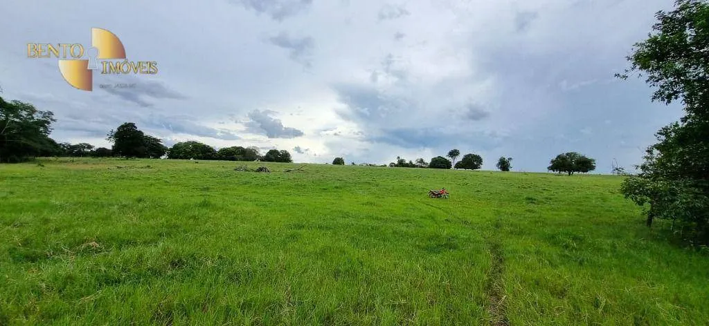 Fazenda à venda de 240 ha em Dom Aquino, MT, Brasil