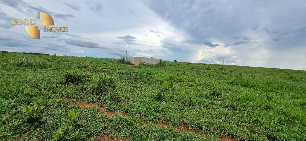 Fazenda à venda de 240 ha em Dom Aquino, MT, Brasil