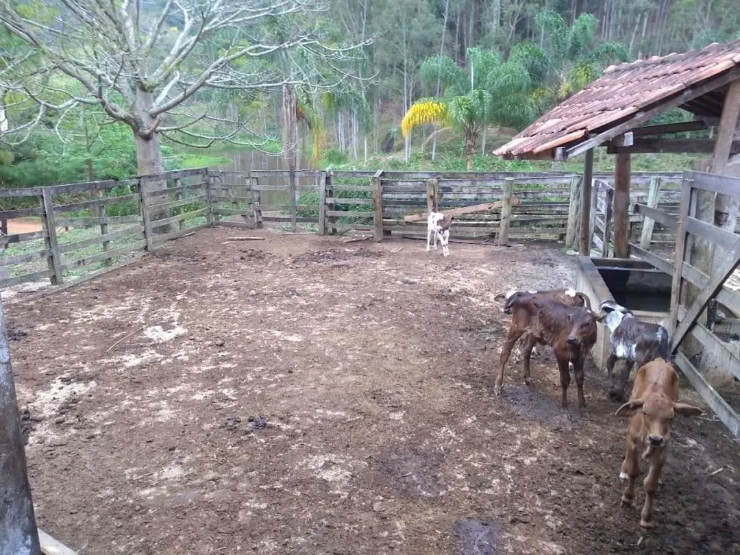 Fazenda à venda de 600 ha em Paraibuna, SP, Brasil
