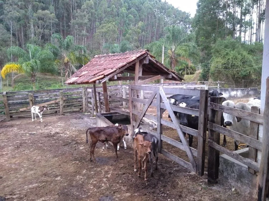Fazenda à venda de 600 ha em Paraibuna, SP, Brasil