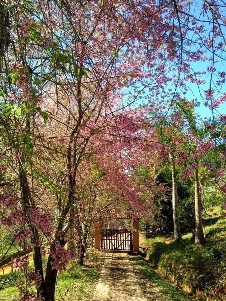 Fazenda à venda de 600 ha em Paraibuna, SP, Brasil