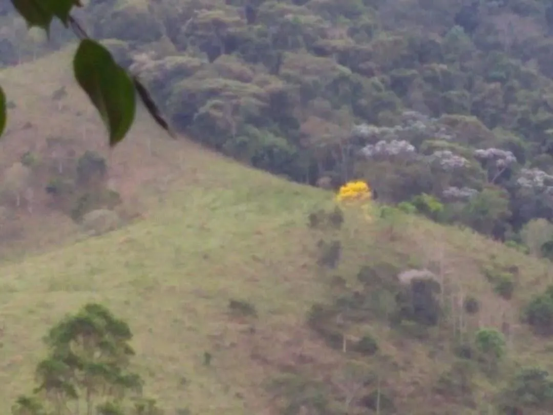 Fazenda à venda de 600 ha em Paraibuna, SP, Brasil