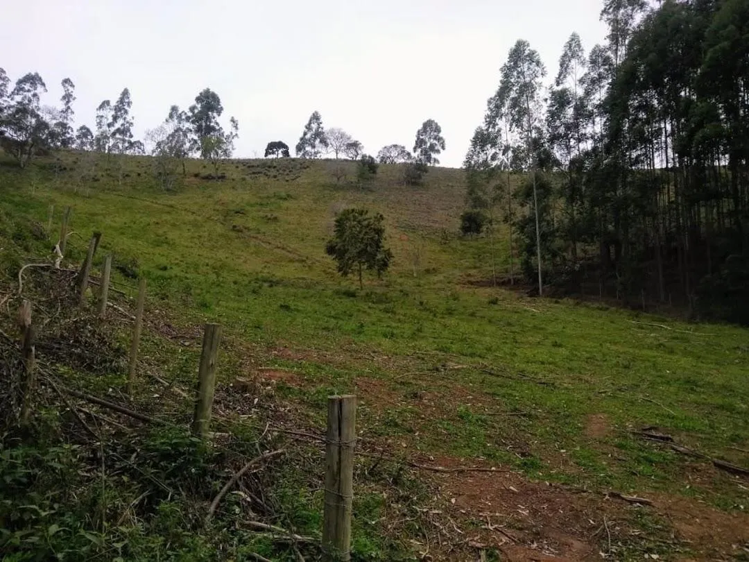 Fazenda à venda de 600 ha em Paraibuna, SP, Brasil