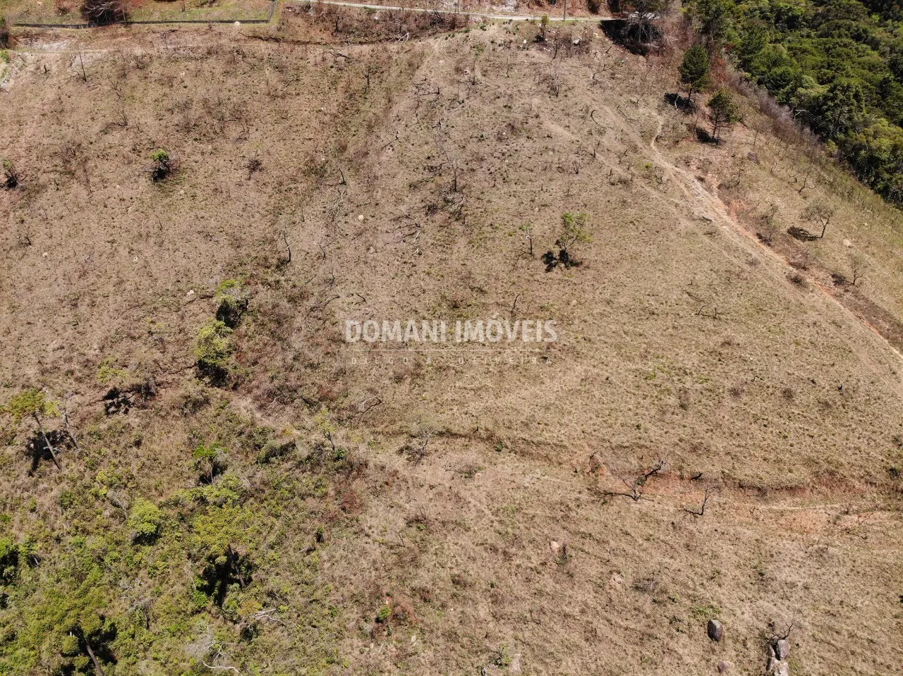 Plot for sale of 9 acres in Campos do Jordão, SP, Brazil