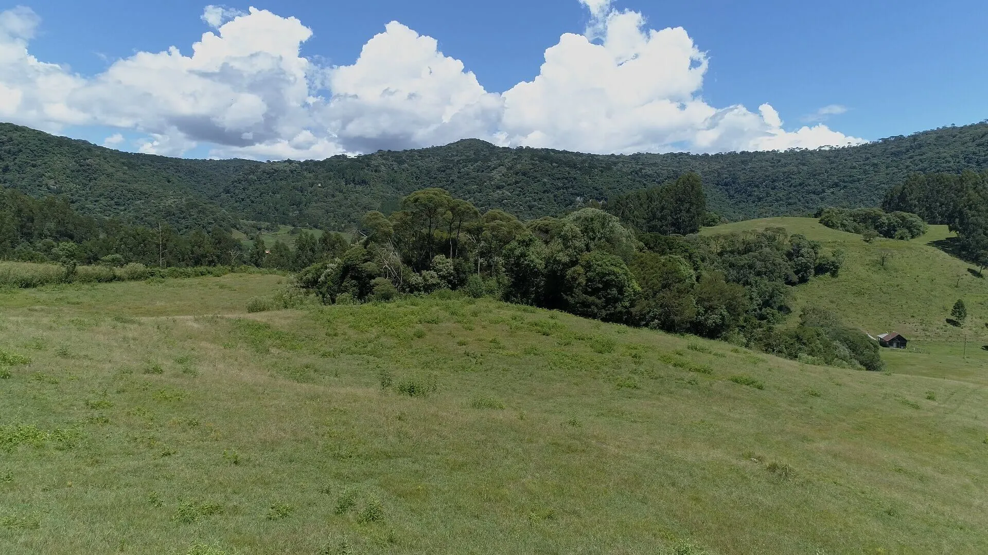 Sítio à venda de 20 ha em Urubici, SC, Brasil