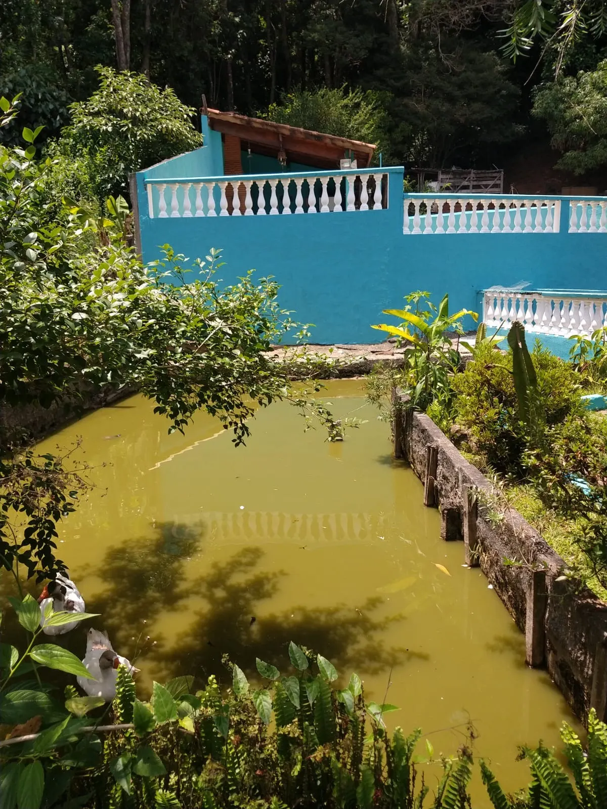 Chácara à venda de 1.375 m² em Atibaia, SP, Brasil