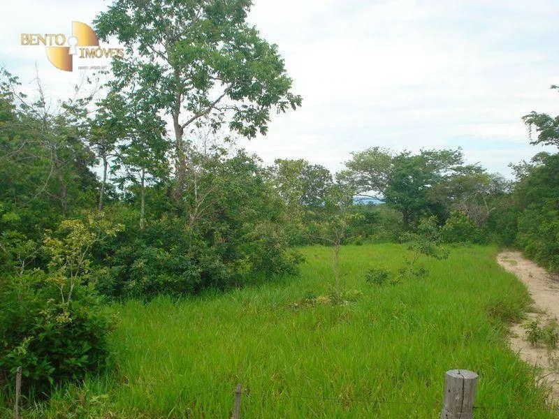 Fazenda à venda de 487 ha em Nossa Senhora do Livramento, MT, Brasil