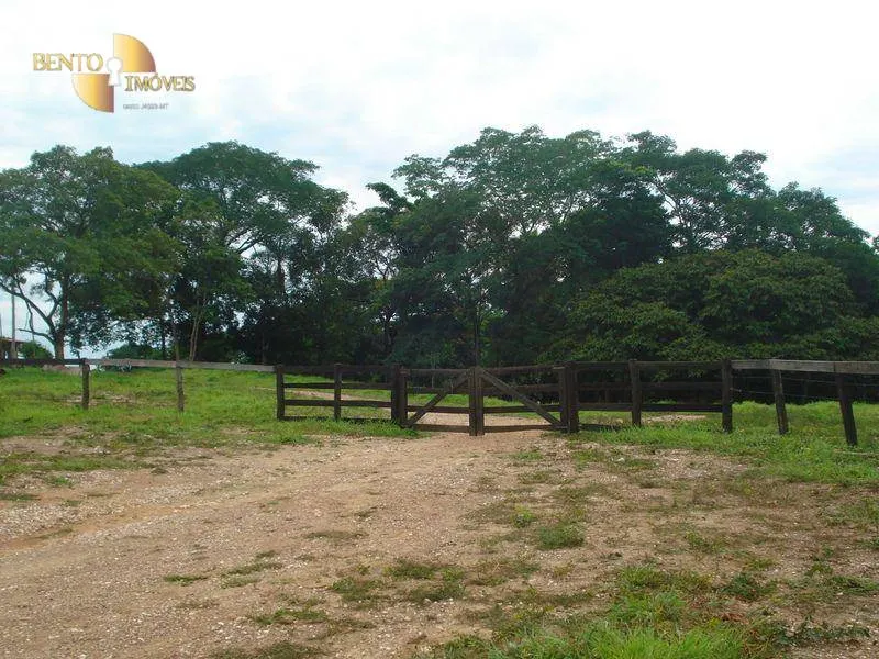 Fazenda à venda de 487 ha em Nossa Senhora do Livramento, MT, Brasil