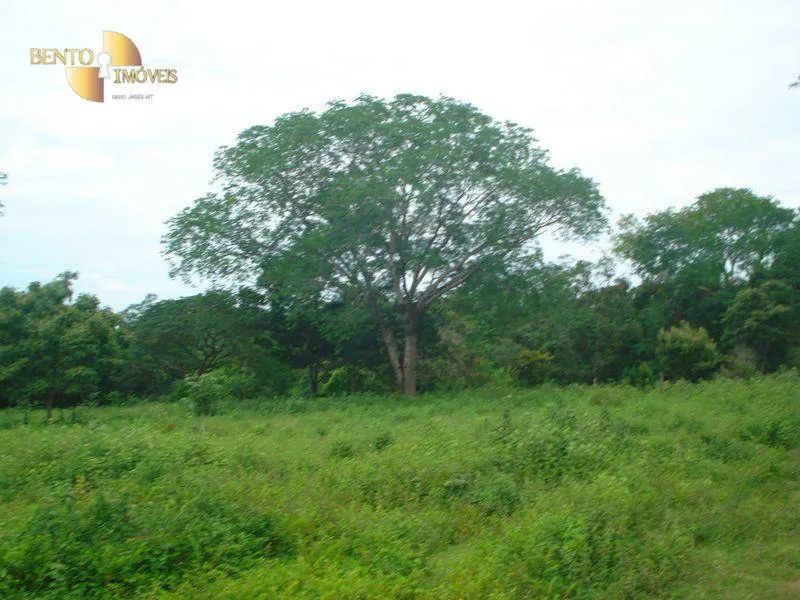Fazenda à venda de 487 ha em Nossa Senhora do Livramento, MT, Brasil