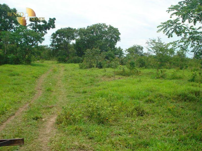 Fazenda à venda de 487 ha em Nossa Senhora do Livramento, MT, Brasil