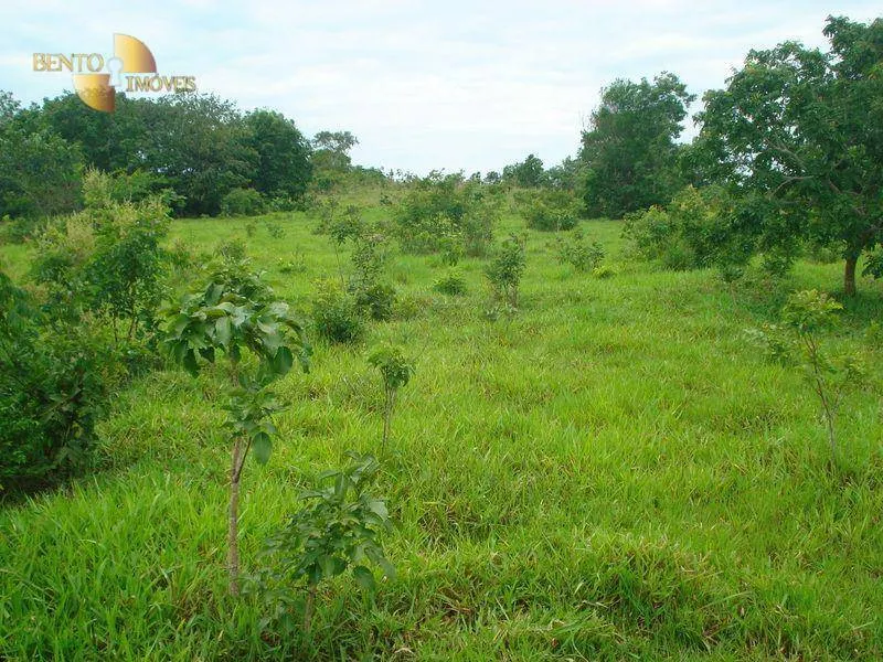 Fazenda à venda de 487 ha em Nossa Senhora do Livramento, MT, Brasil