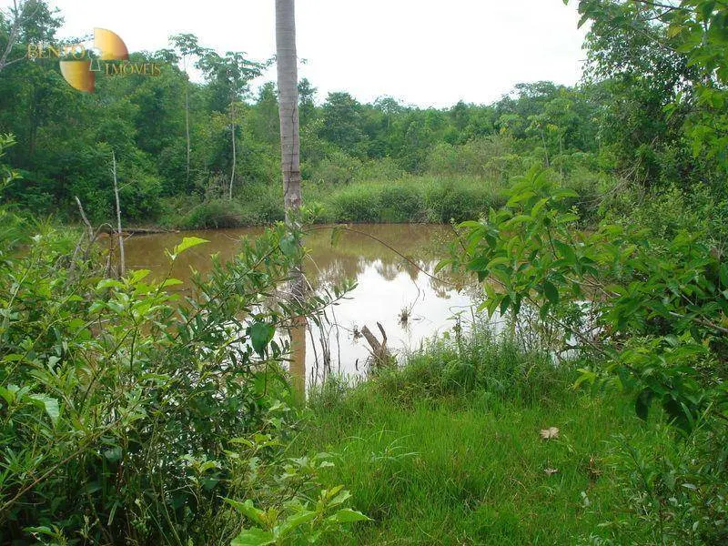 Fazenda à venda de 487 ha em Nossa Senhora do Livramento, MT, Brasil