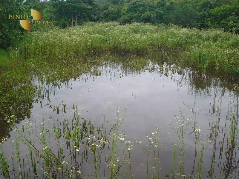 Fazenda à venda de 487 ha em Nossa Senhora do Livramento, MT, Brasil