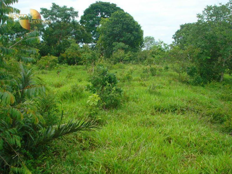 Fazenda à venda de 487 ha em Nossa Senhora do Livramento, MT, Brasil