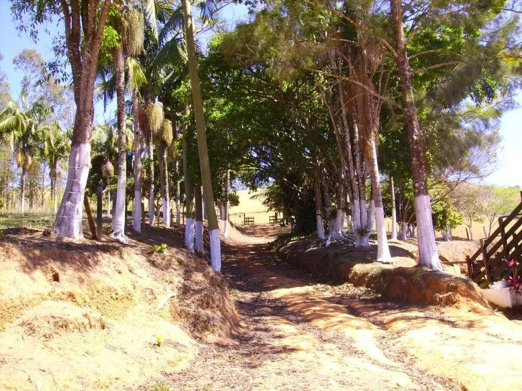Fazenda à venda de 135 ha em Ouro Fino, MG, Brasil