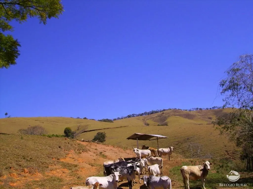 Fazenda à venda de 135 ha em Ouro Fino, MG, Brasil