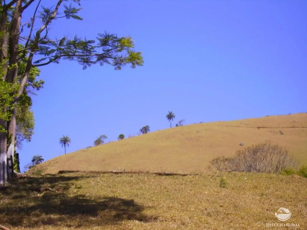 Fazenda à venda de 135 ha em Ouro Fino, MG, Brasil
